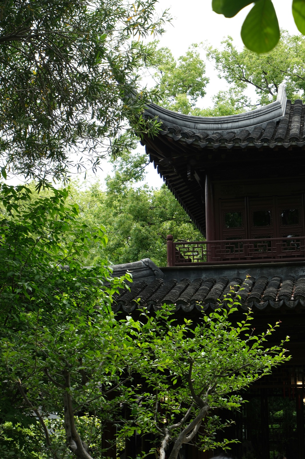 Yu Garden — Ming Dynasty pavilion with curved tile roof framed by garden trees, behind the ticket gate